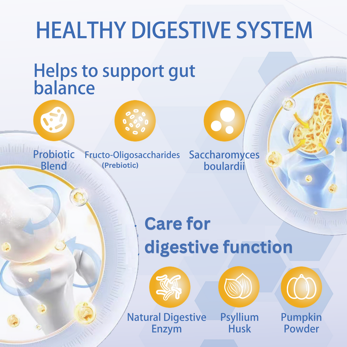 DigestiFibra Probiotic Paste for Dogs & Cats | Gut Health & Digestion Support