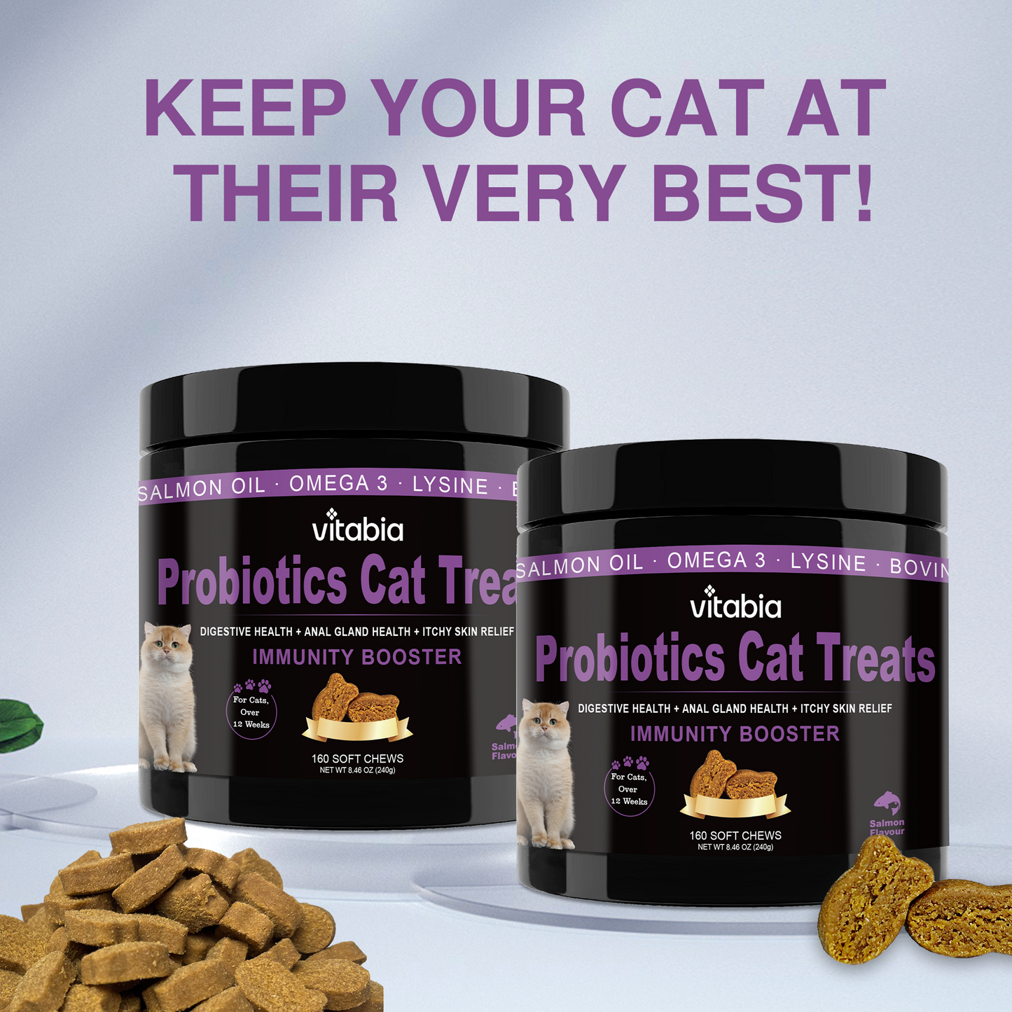 Probiotic Treats for Cats – Daily Gut & Skin Care