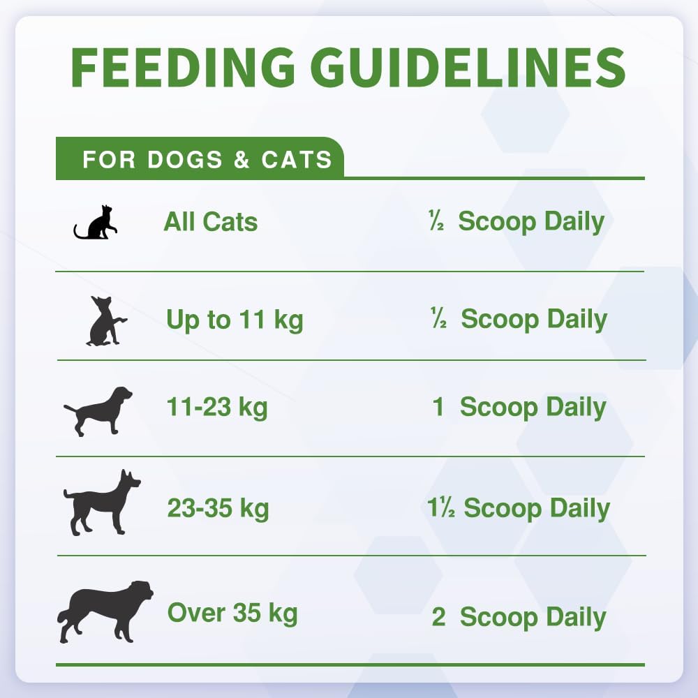 Probiotics Powder for Dogs & Cats – Daily Digestive Support