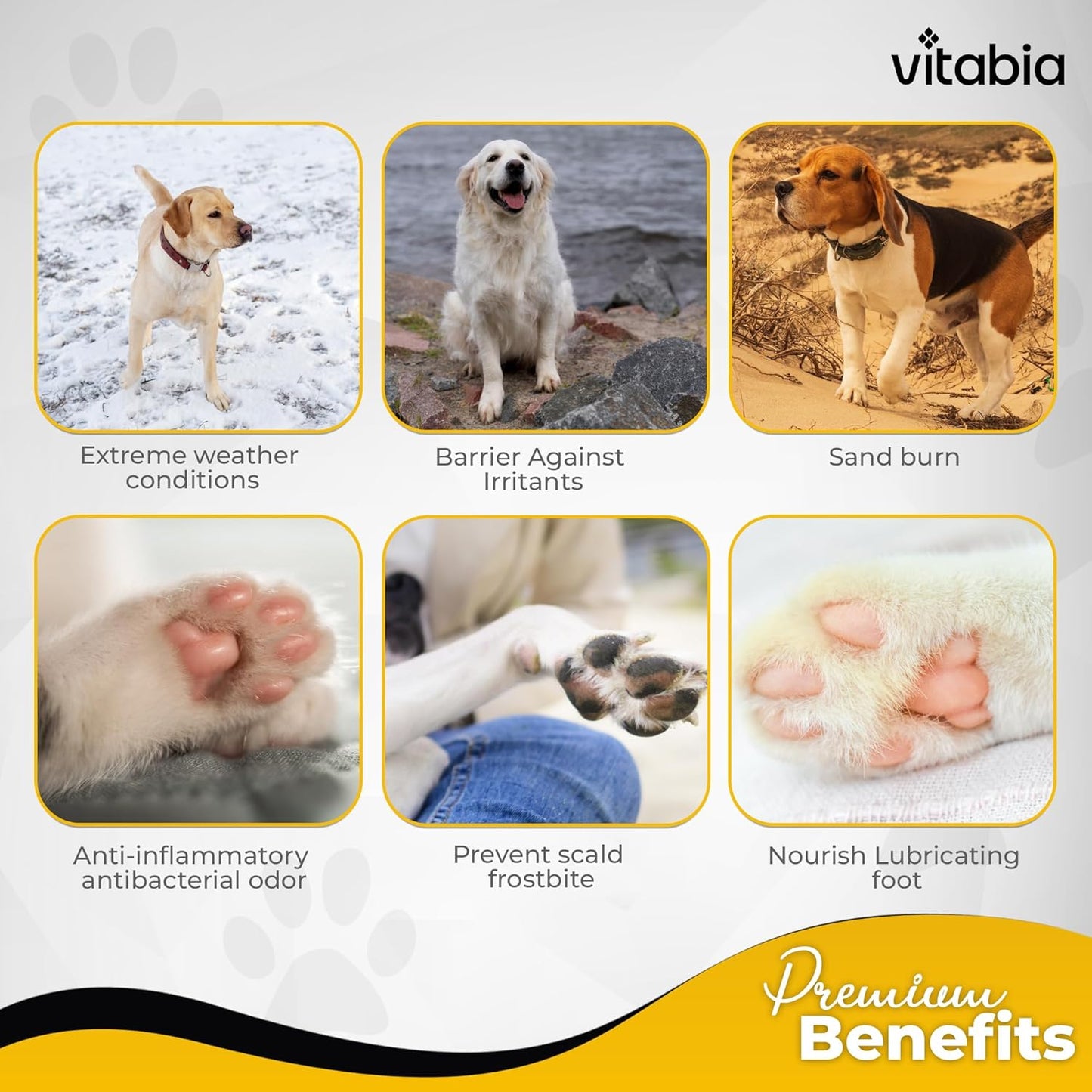 Paw & Nose Balm — Daily Comfort for Dry Skin in Dogs & Cats