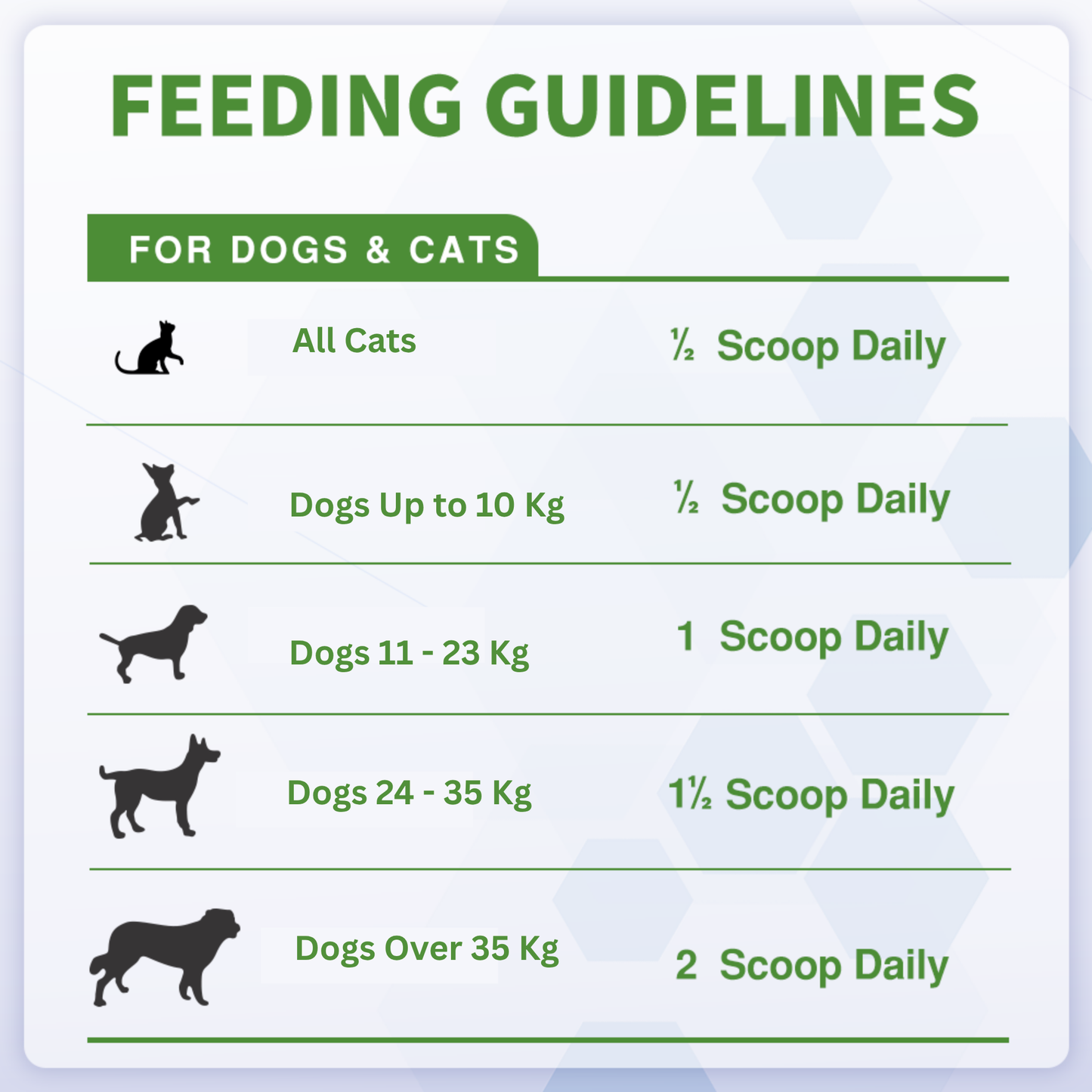 Probiotics Powder for Dogs & Cats – Daily Digestive Support