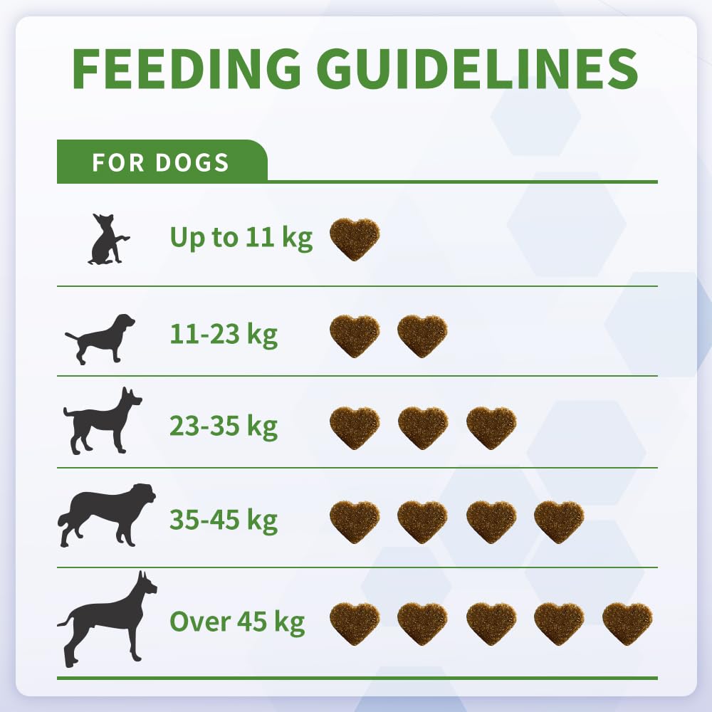 Probiotic Fibre Chews for Dogs – Daily Gut & Coat Support