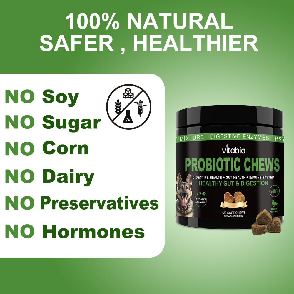 Probiotic Fibre Chews for Dogs – Daily Gut & Coat Support