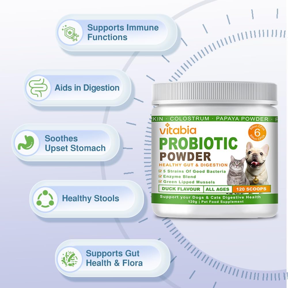 Probiotics Powder for Dogs & Cats – Daily Digestive Support