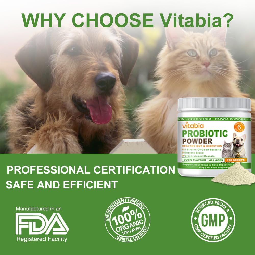 Probiotics Powder for Dogs & Cats – Daily Digestive Support