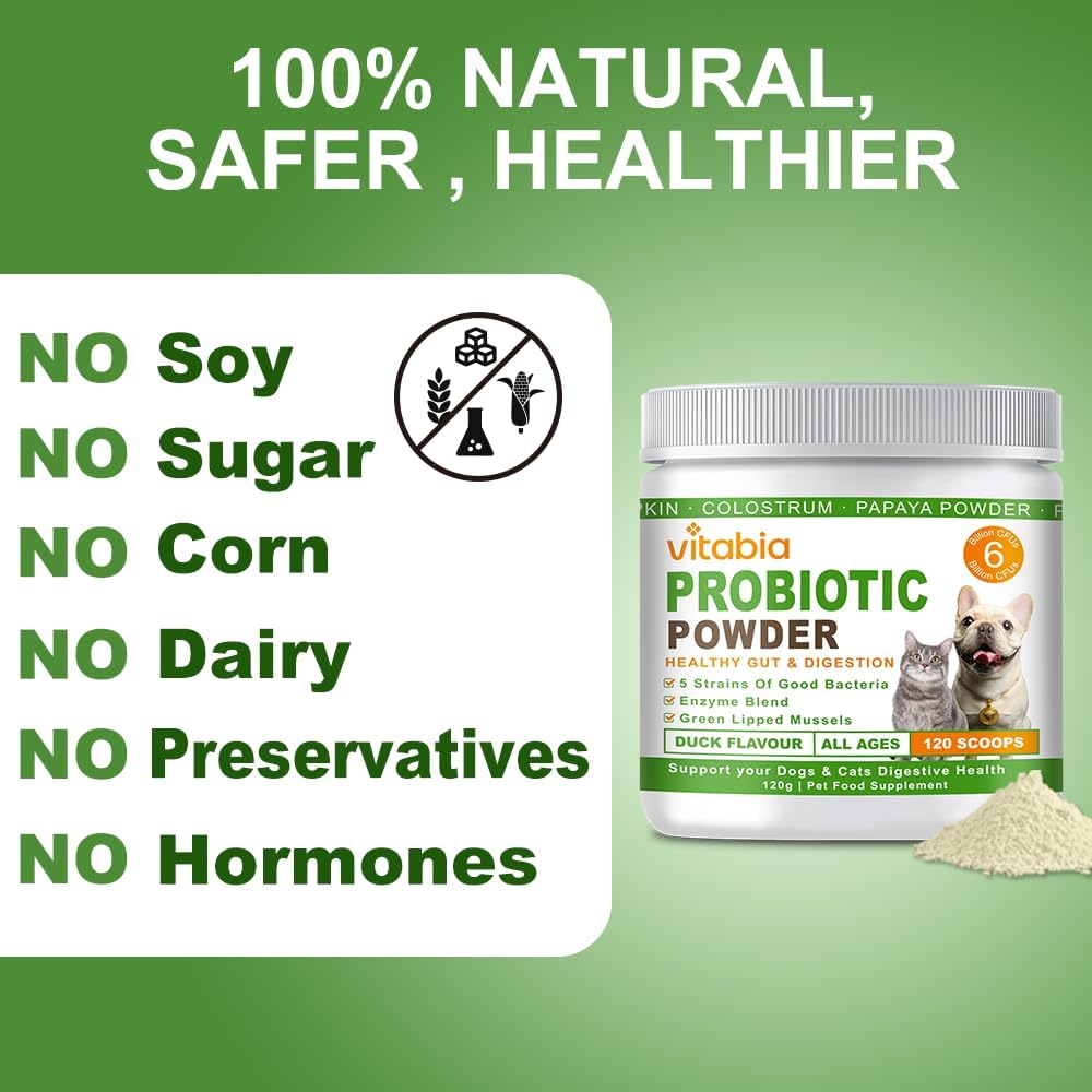 Probiotics Powder for Dogs & Cats – Daily Digestive Support