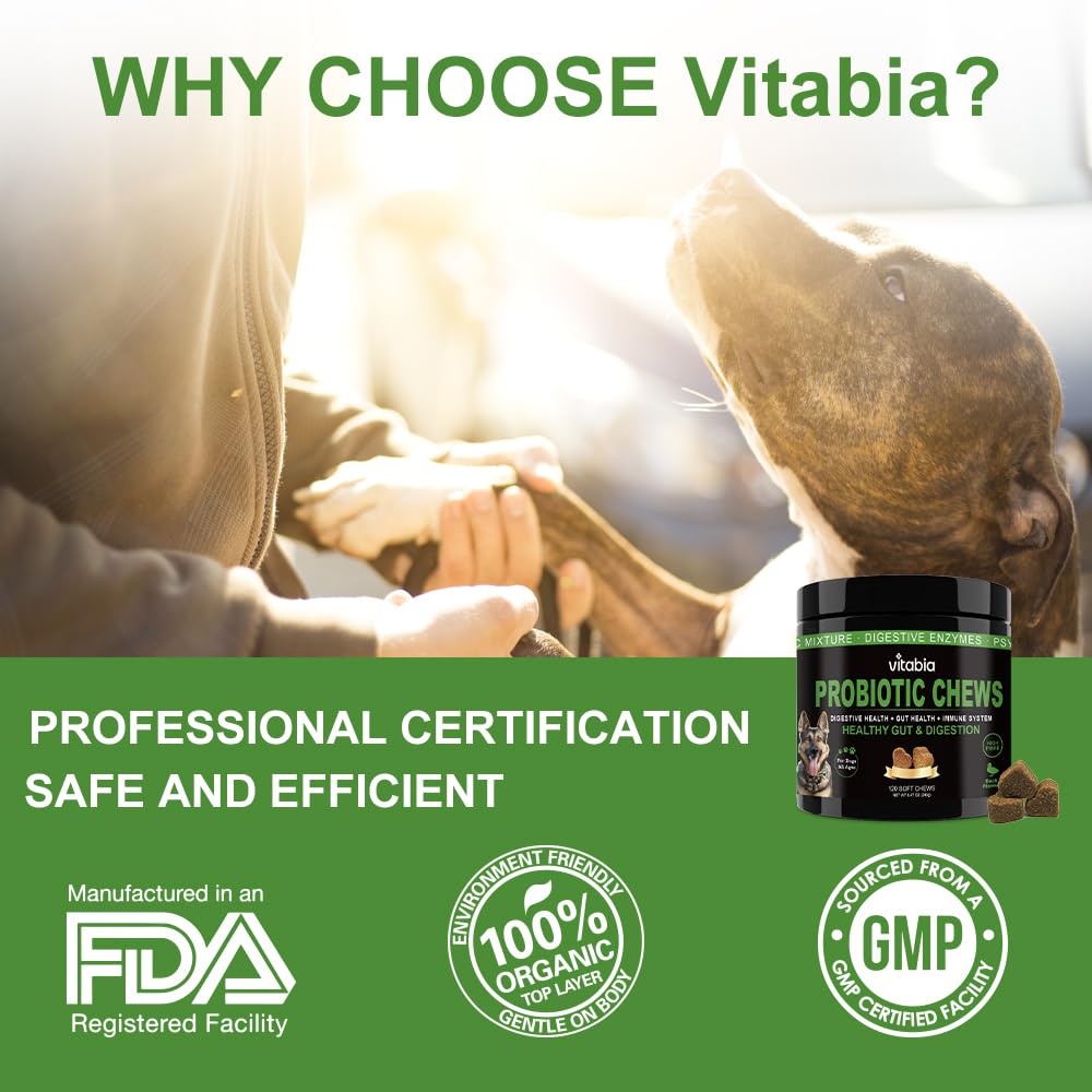 Probiotic Fibre Chews for Dogs – Daily Gut & Coat Support