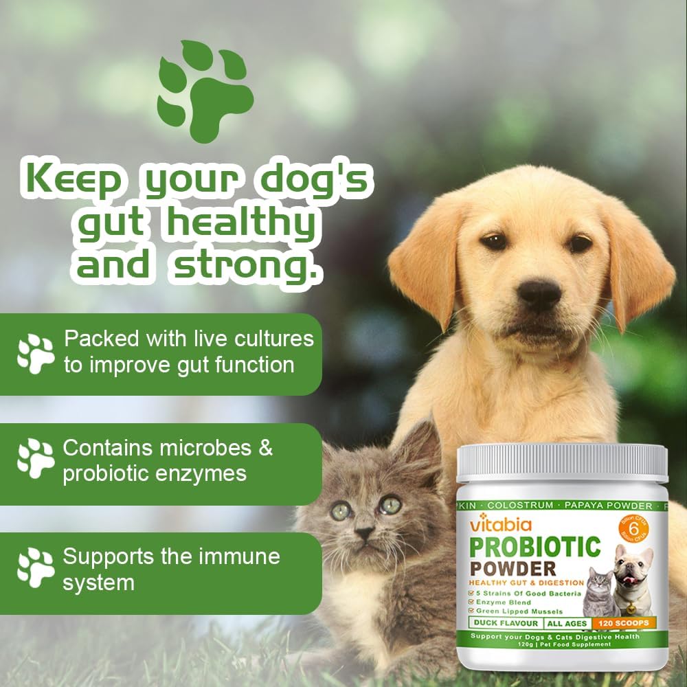 Probiotics Powder for Dogs & Cats – Daily Digestive Support