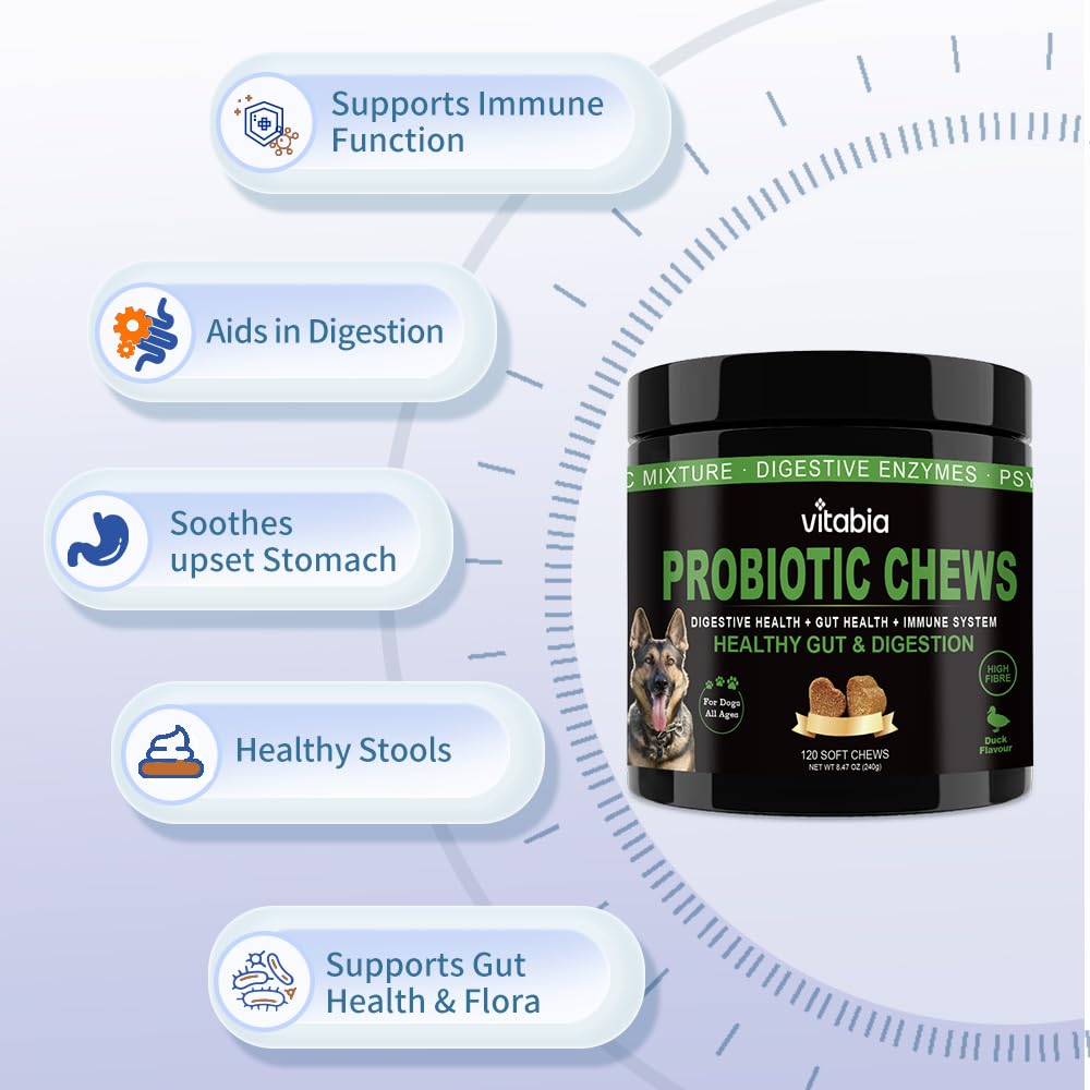Probiotic Fibre Chews for Dogs – Daily Gut & Coat Support