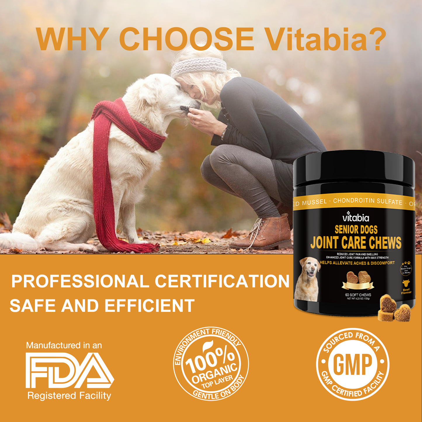 Joint Support Chews for Senior Dogs