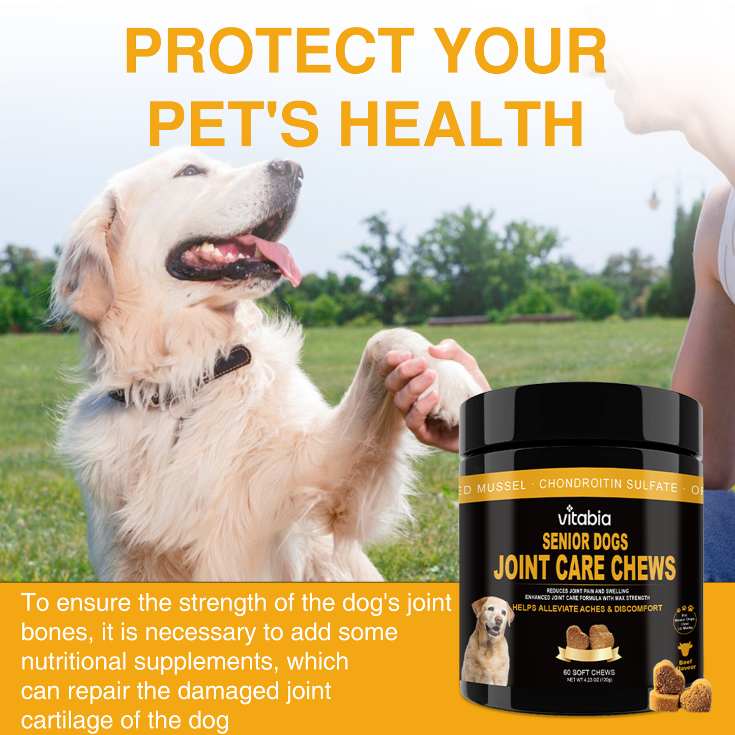 Joint Support Chews for Senior Dogs