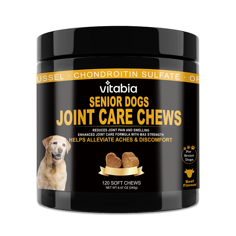 Joint Support Chews for Senior Dogs Natural Daily Chews