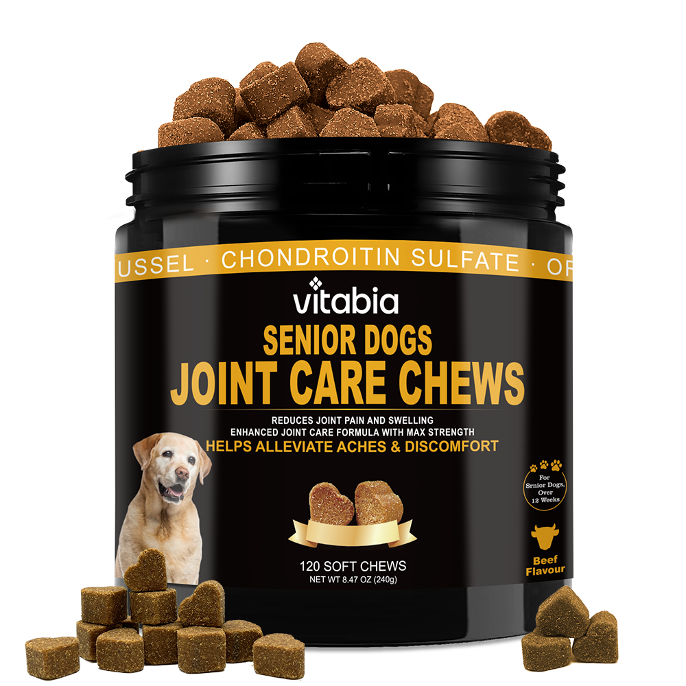 Joint Support Chews for Senior Dogs Natural Daily Chews