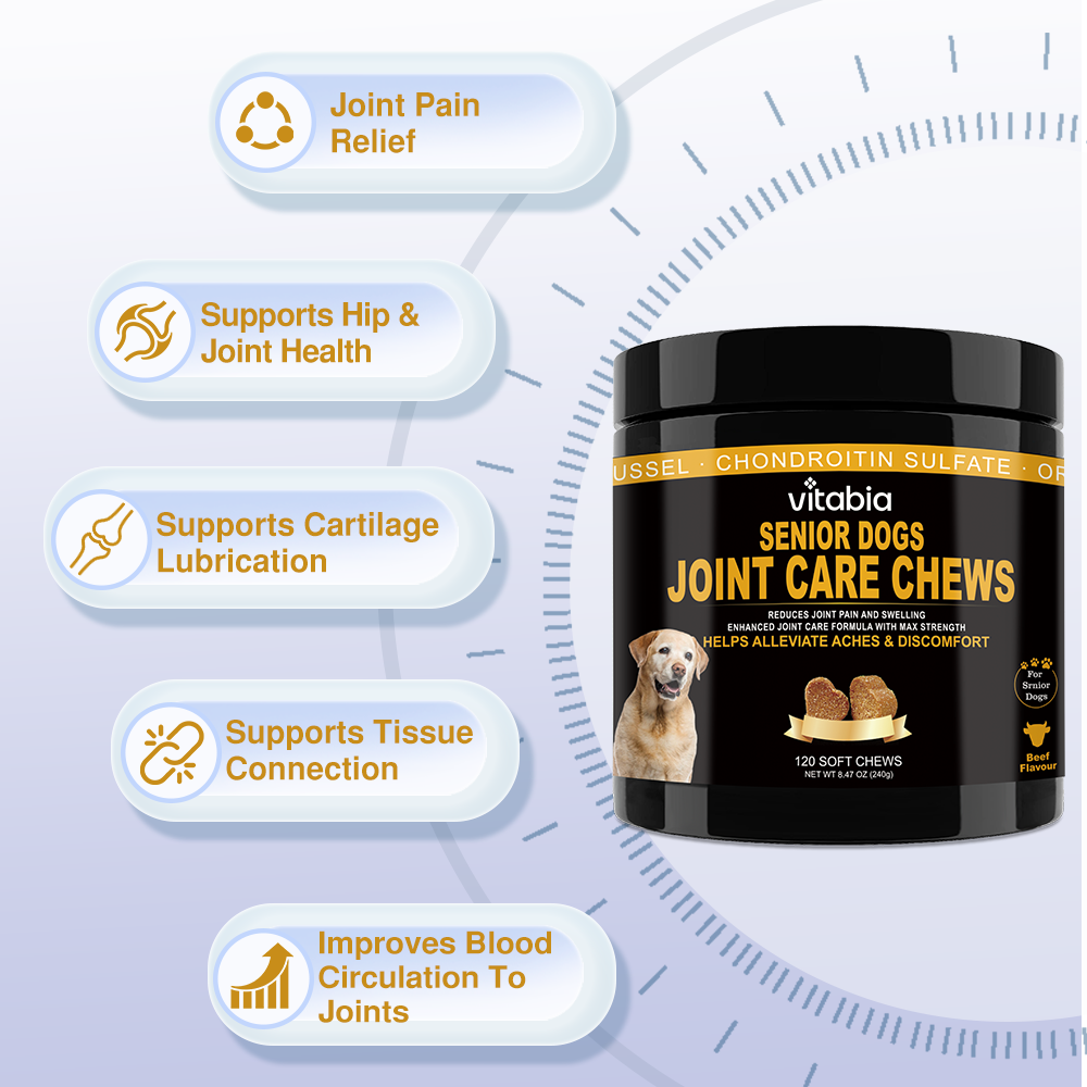 Joint Support Chews for Senior Dogs Natural Daily Chews