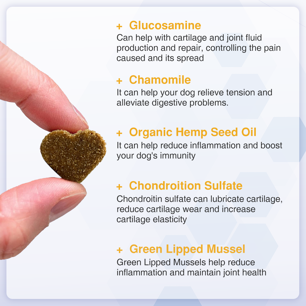 Joint Support Chews for Senior Dogs Natural Daily Chews