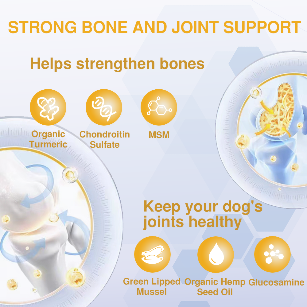 Joint Support Chews for Senior Dogs Natural Daily Chews