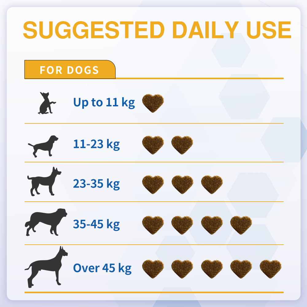 Joint Support Chews for Senior Dogs Natural Daily Chews