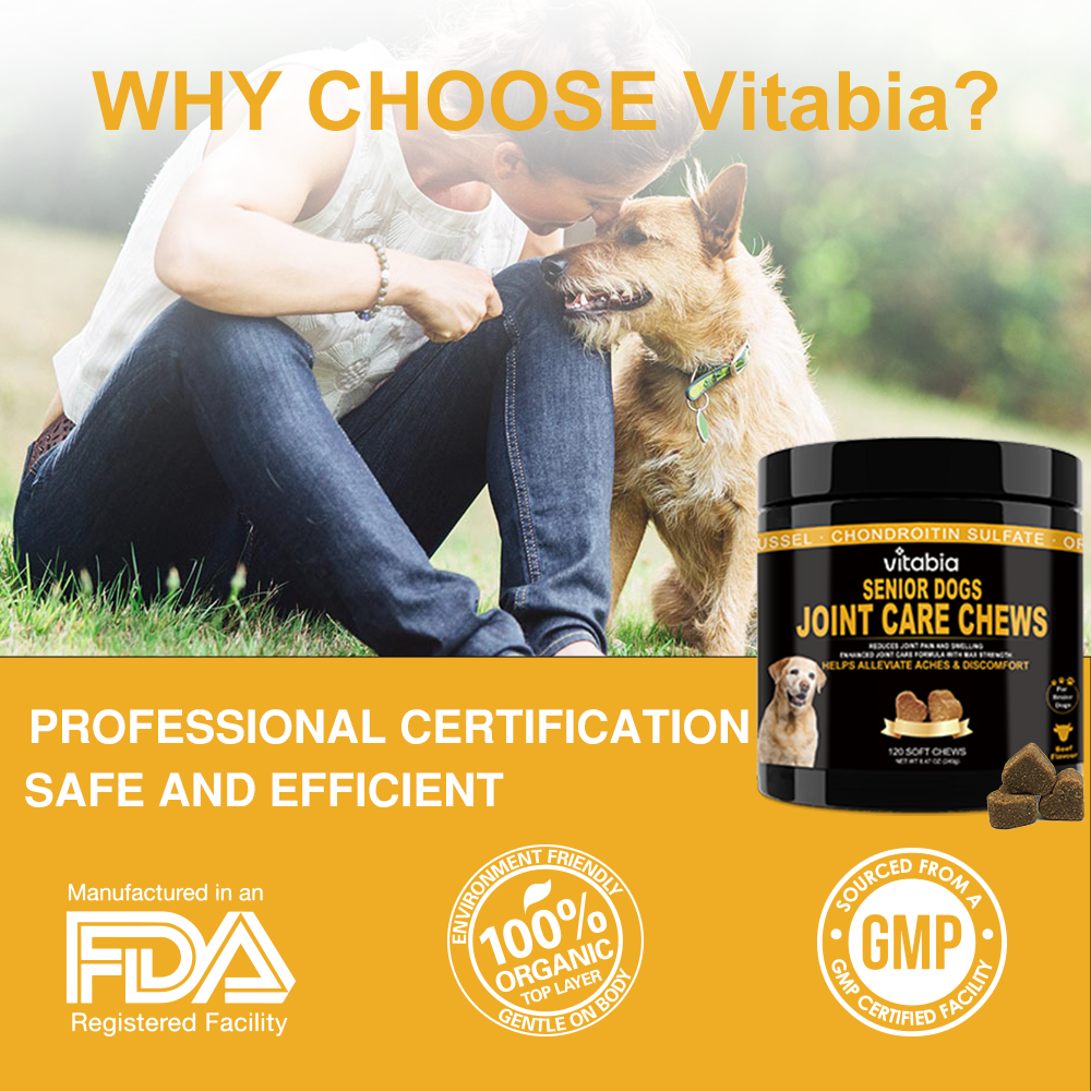 Joint Support Chews for Senior Dogs Natural Daily Chews