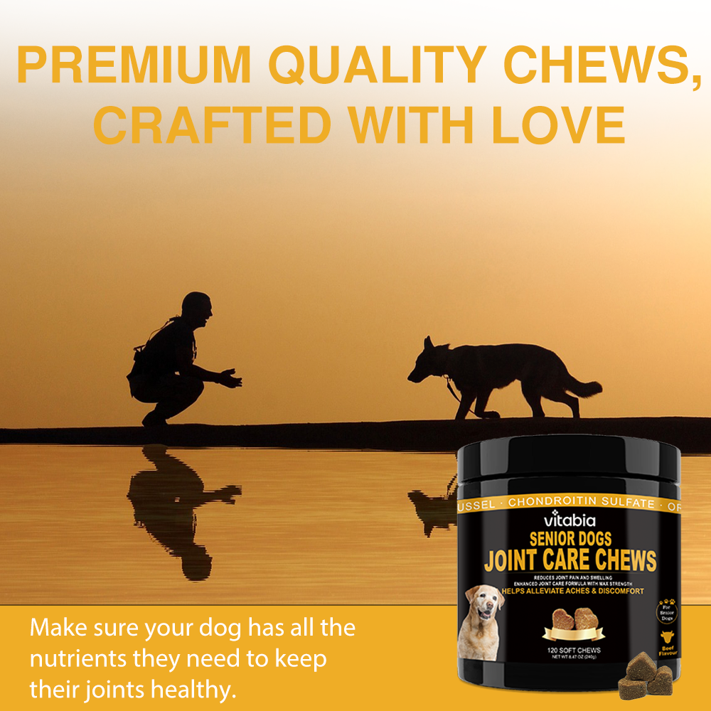 Joint Support Chews for Senior Dogs Natural Daily Chews