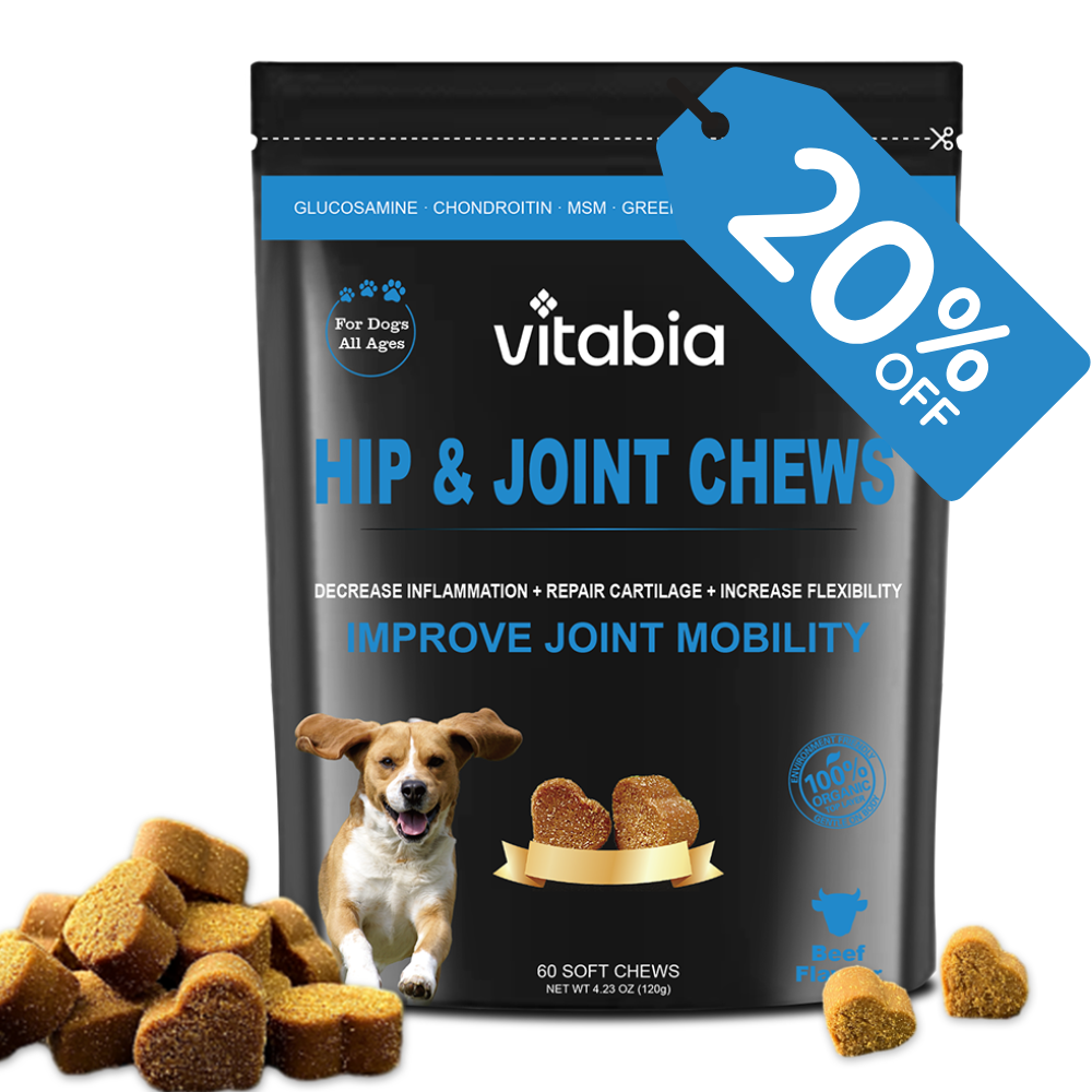 Hip & Joint Chews for Dogs