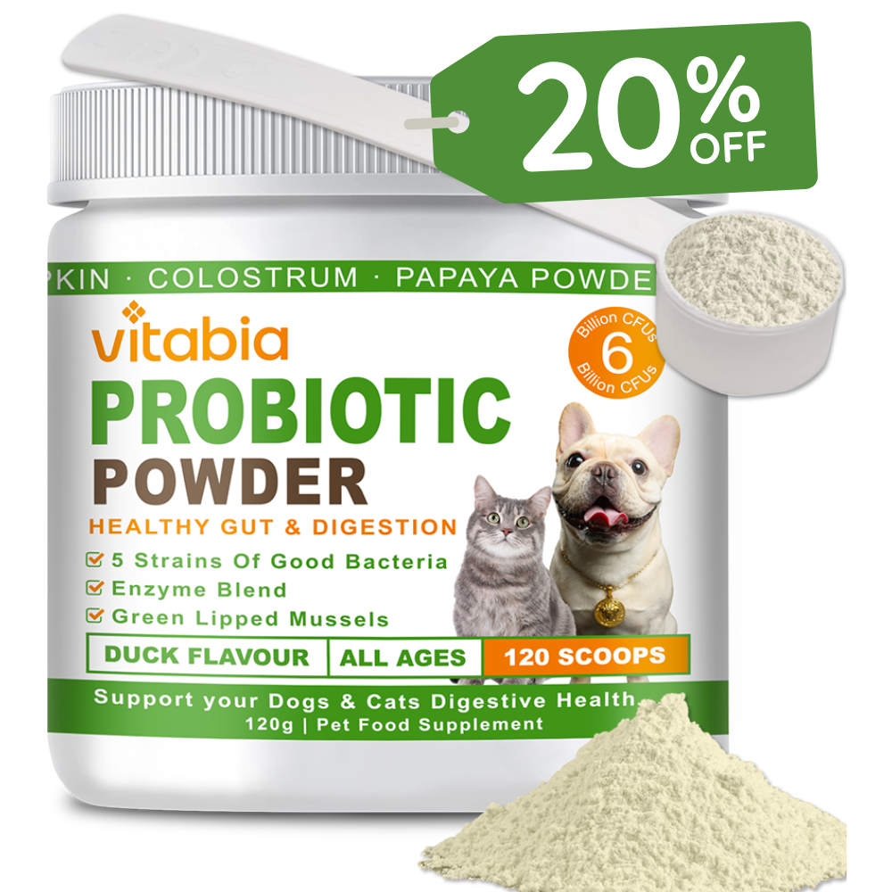 Probiotics Powder for Dogs & Cats – Daily Digestive Support