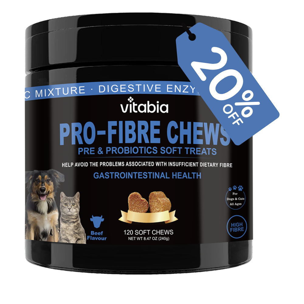 Fibre & Probiotic Chews for Dogs & Cats – Gut & Anal Gland Support
