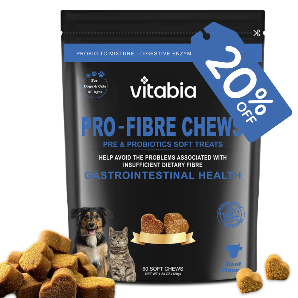 Pro Fibre Chews for Dogs & Cats – Natural Digestive Health Treats