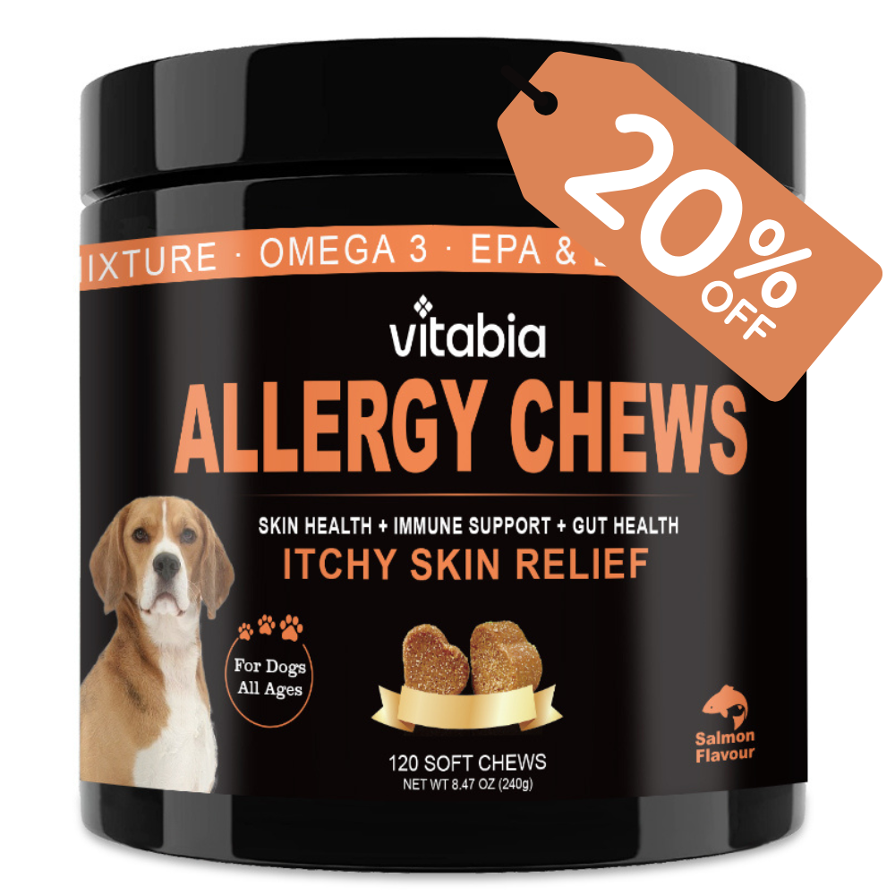 Dog Allergy Support Chews for Skin and Coat Wellness