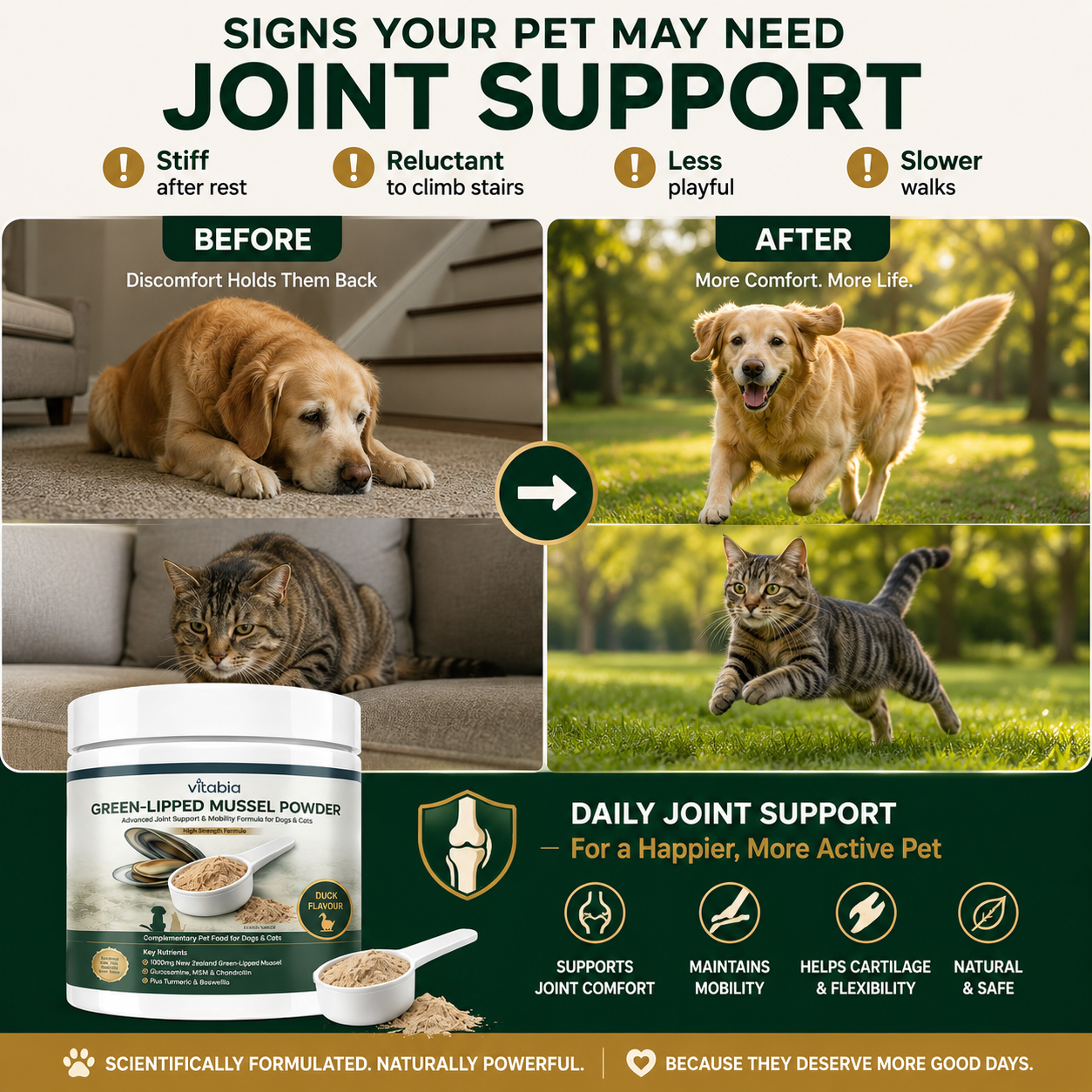 Green Lipped Mussel Powder for Dogs & Cats | 1000mg New Zealand Green-Lipped Mussel | 10-in-1 Joint Support Food Topper | 120g