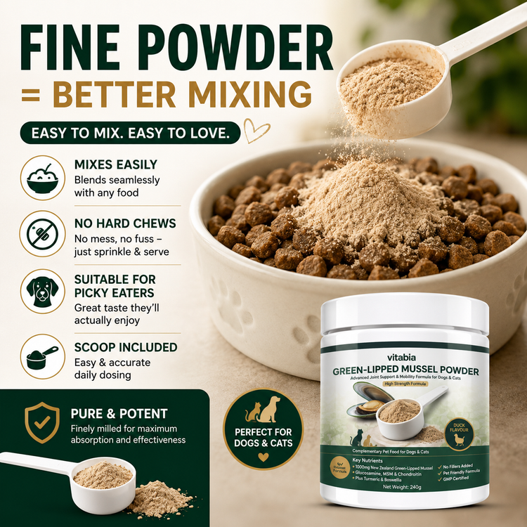 Green Lipped Mussel Powder for Dogs & Cats | Vitabia UK