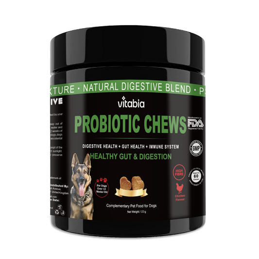 Probiotic and Prebiotic Chews for Dogs – Daily Gut Health, Digestion, Anal Gland Care, Stool Firmness and Ccooting Relief.