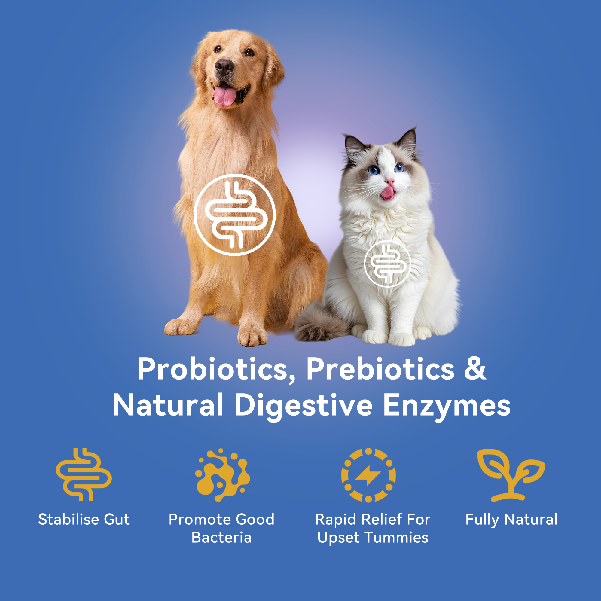 DigestiFibra Probiotic Paste for Dogs & Cats | Gut Health & Digestion Support