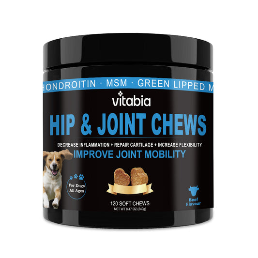 Hip & Joint Chews for Dogs – Joint Health & Mobility Support