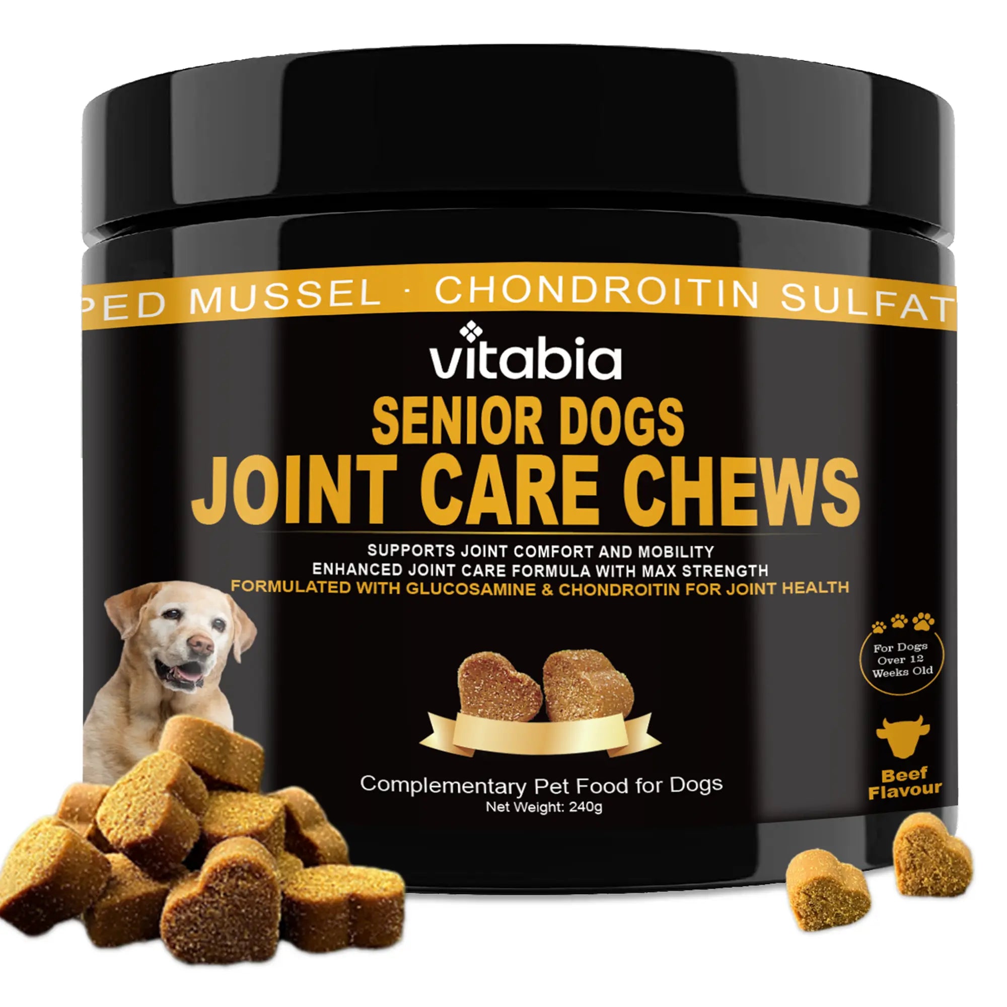 Senior Dog Joint Supplements – Glucosamine, Chondroitin, MSM & Omega 3 for Mobility & Joint Health | Vitabia UK