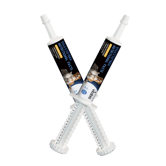 DigestiFibra Probiotic Paste for Dogs & Cats | Gut Health & Digestion Support