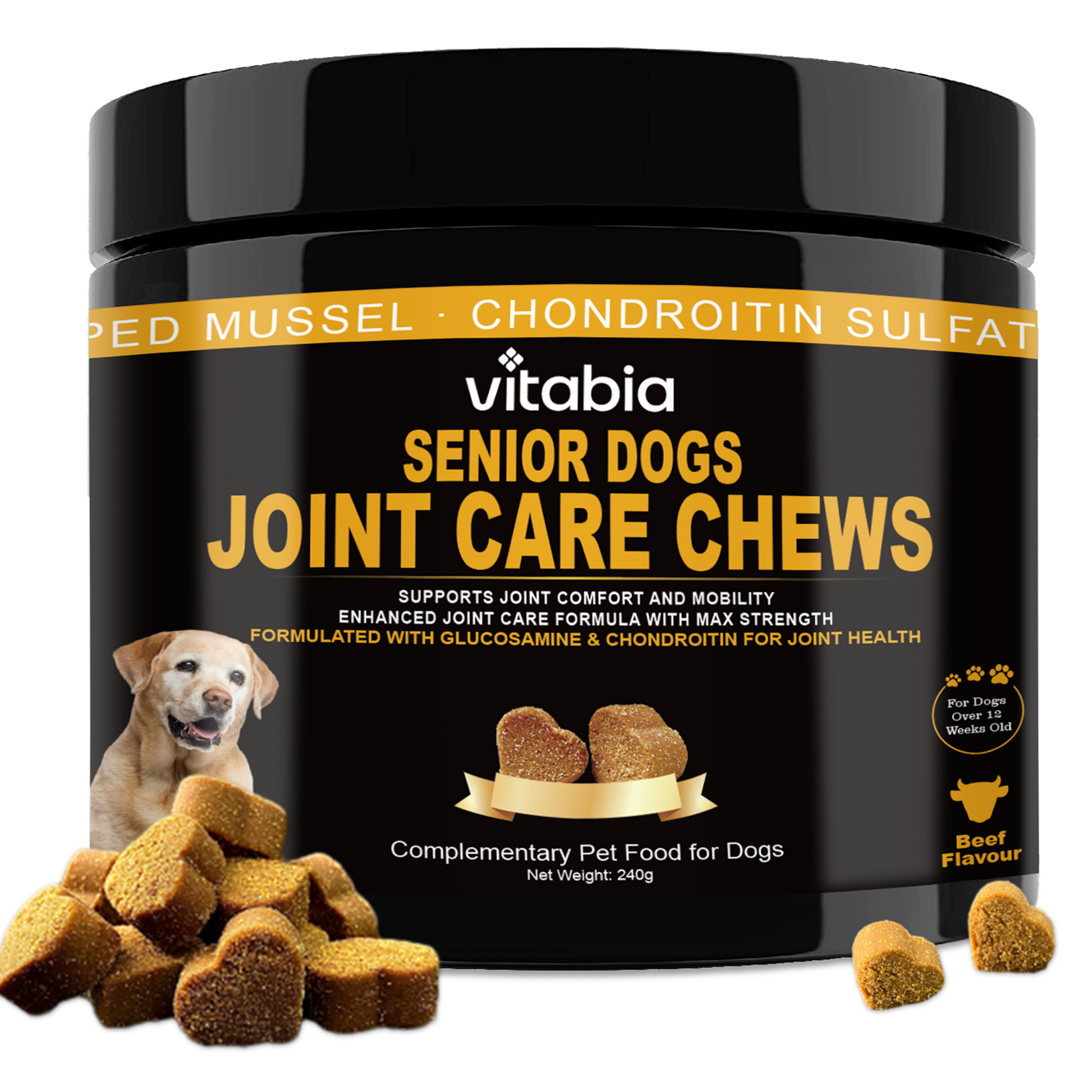 Joint Support Chews for Senior Dogs Natural Daily Chews
