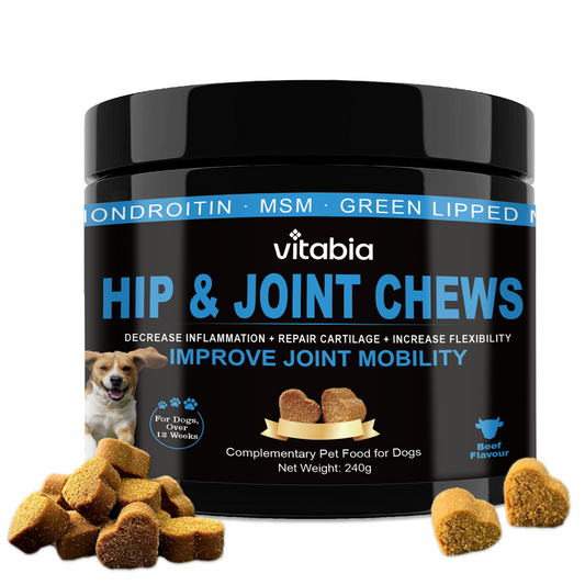 Hip & Joint Chews for Dogs