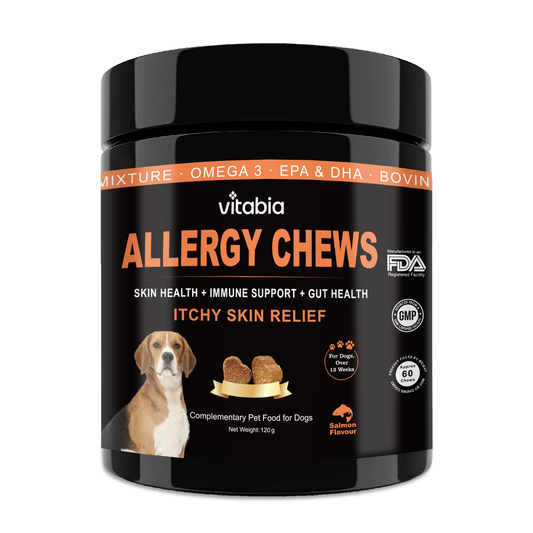 Dog Skin and Coat Support Chews – Omega 3 & Salmon Oil for Healthy Coat | Vitabia UK