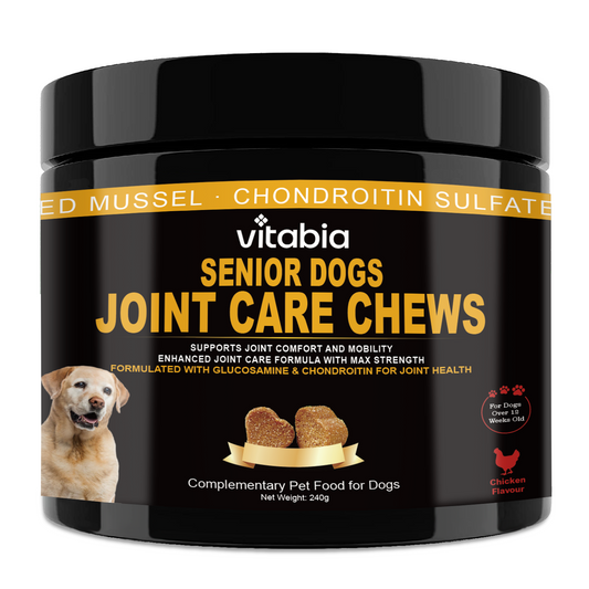 Joint Support Chews for Senior Dogs