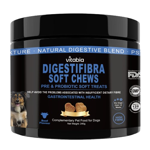 Fibre & Probiotic Chews for Dogs – Daily Digestive Support