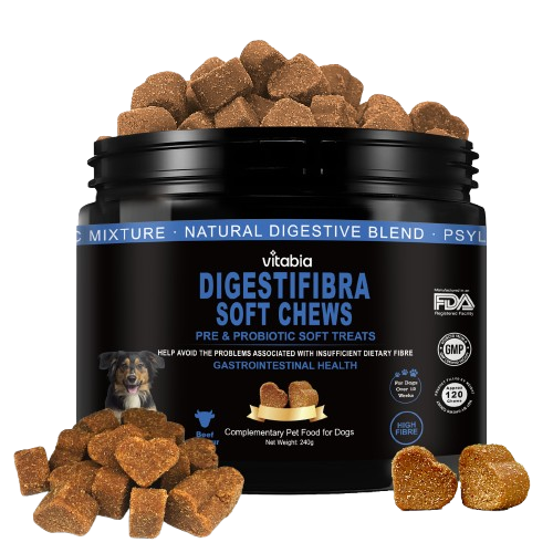 Fibre & Probiotic Chews for Dogs – Daily Digestive Support
