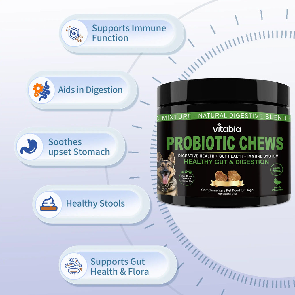 Probiotics for Dogs – Prebiotic Fibre Chews for Gut Health & Anal Gland Support | Vitabia UK