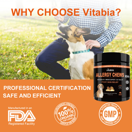 Dog Skin and Coat Support Chews – Omega 3 & Salmon Oil for Healthy Coat | Vitabia UK