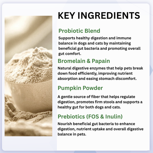 Probiotics Powder for Dogs & Cats – Daily Digestive Support