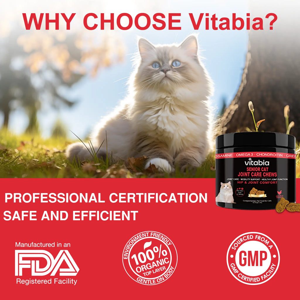 Senior Cat Joint Support Chews – Glucosamine, Chondroitin & Omega 3 for Mobility