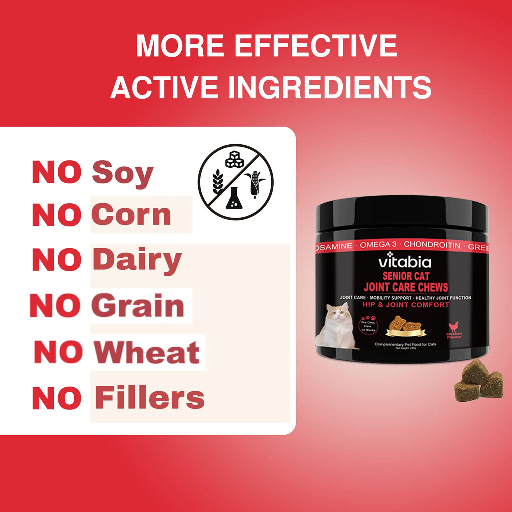 Senior Cat Joint Support Chews – Glucosamine, Chondroitin & Omega 3 for Mobility