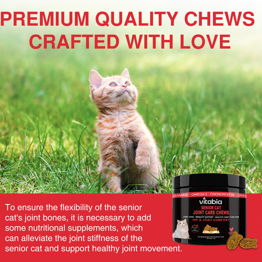 Senior Cat Joint Support Chews – Glucosamine, Chondroitin & Omega 3 for Mobility