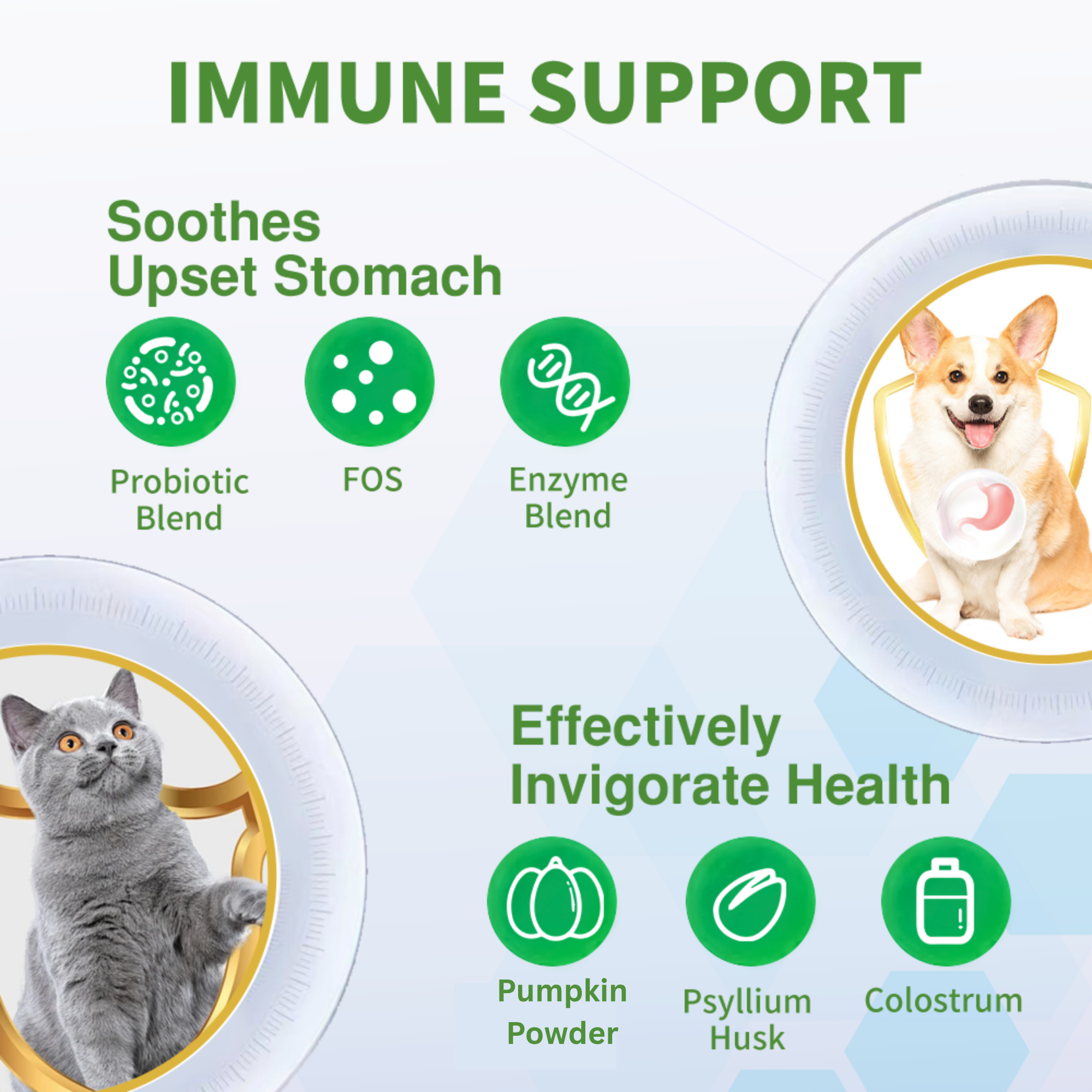 Probiotics Powder for Dogs & Cats – Daily Digestive Support