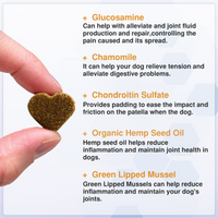 Joint Support Chews for Senior Dogs Natural Daily Chews
