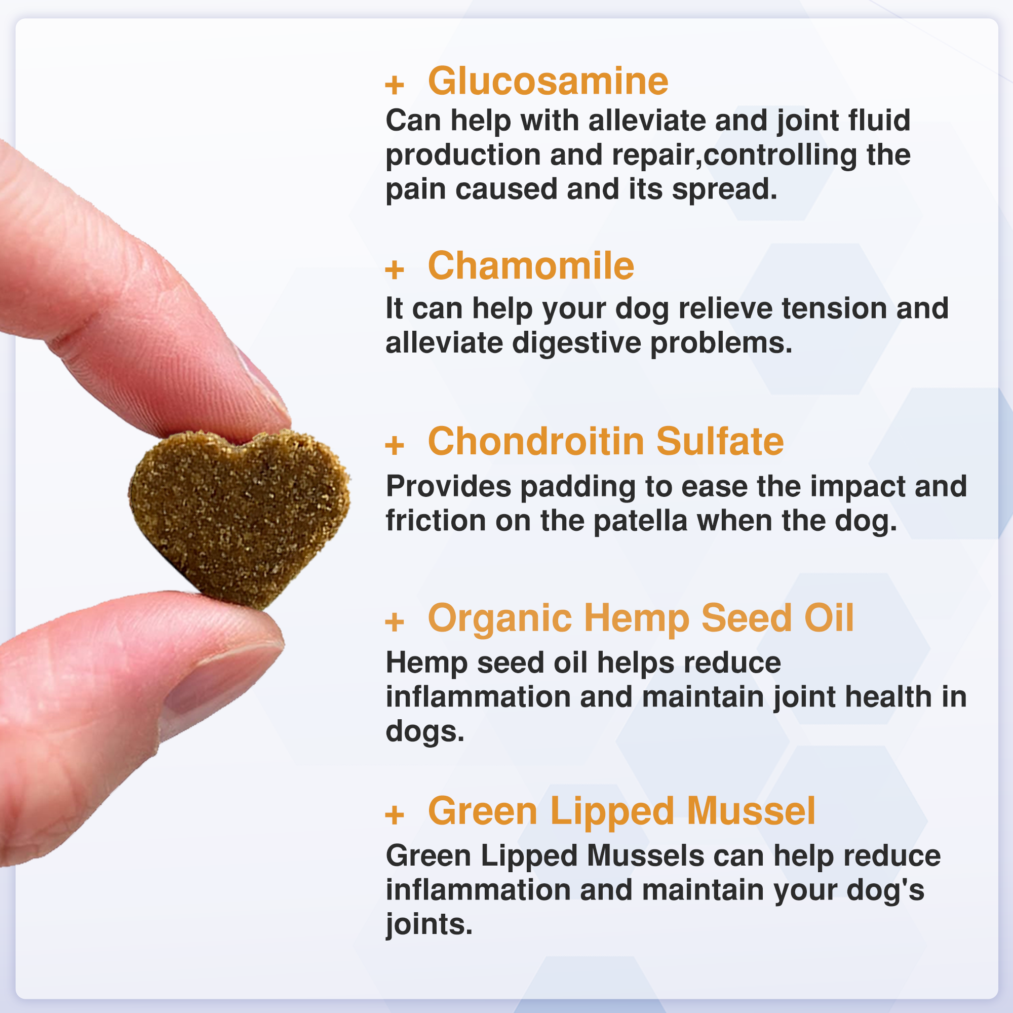 Joint Support Chews for Senior Dogs Natural Daily Chews